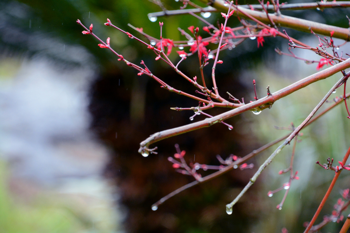 雨天的独特风景