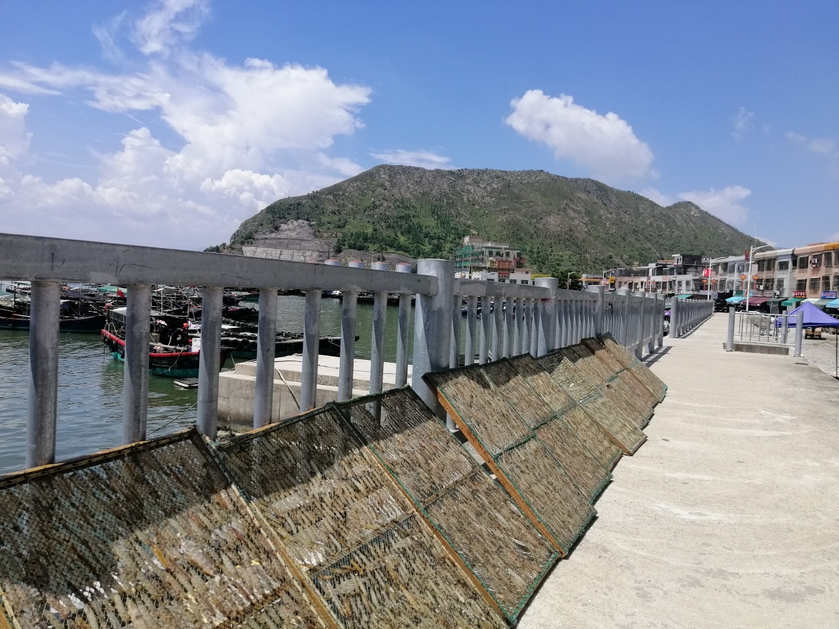 码头边晒皮皮虾干汕尾马宫渔港