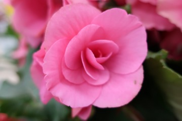 6595D6C6-2F8F-4786-B1C6-367DA4404CAF/L0/001