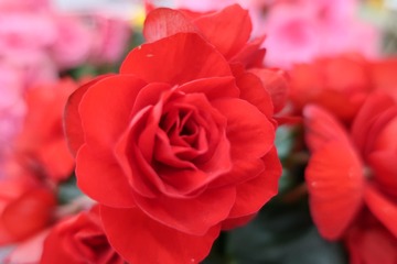 9B9A9761-BFE1-4F31-AB09-055389E6D718/L0/001