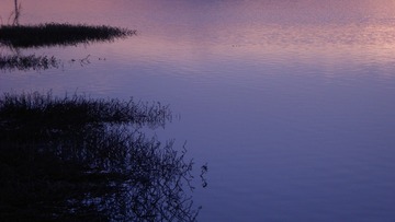 365921