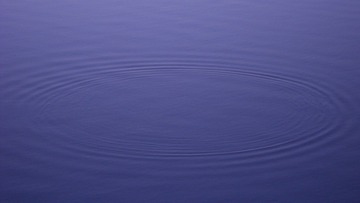 365924