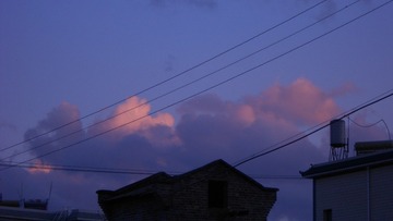 288339