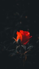 1000021473