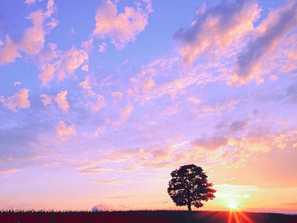 五彩斑斓的天空之城