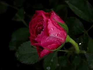 3D30BBE8-6F37-4F5D-AC25-7D68B6611DF3/L0/001