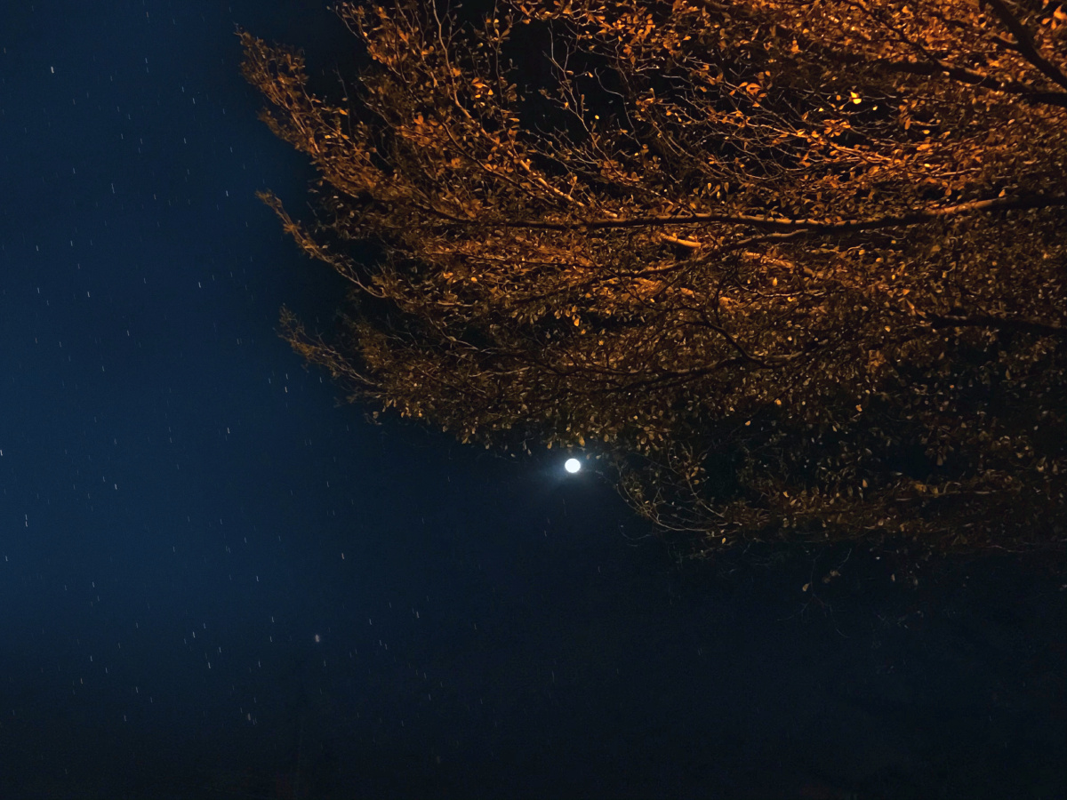 夜空下的孤寂你是否也有相同的感受