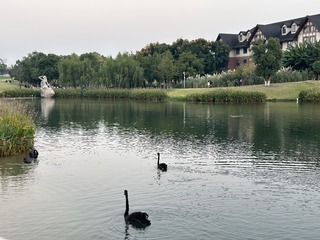 863E8D3D-0B5E-42B4-8E10-256545D8D943/L0/001