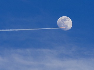 278450