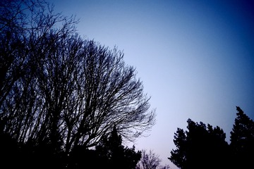 48E72E93-E010-4A6B-936C-F5D85BE2DBAF/L0/001