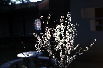 95A5FA8E-9873-46BD-BF70-CF7FA4B7BFFC/L0/001