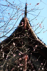 920440EB-C61F-4A32-9F15-CFA8D7A0A0F6/L0/001