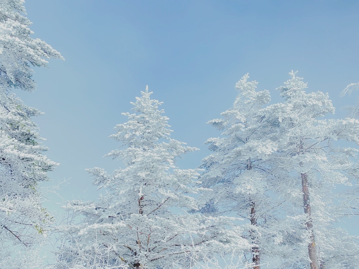 成都西岭雪山山间雪景