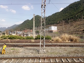 49989