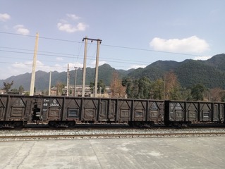49988