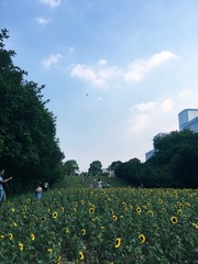 8AF62DF2-8484-40C3-97A0-F6EC21E36564/L0/001