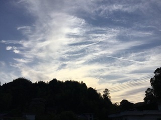 089987E1-9EE0-4A48-8C7C-AE072FEC3962/L0/001