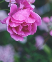0DB2141A-ED0B-4540-B915-A2223170C5EE/L0/001