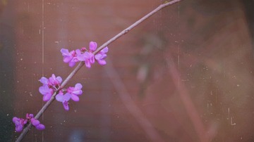 9F68D698-4ECA-49E9-9520-185C73551A76/L0/001