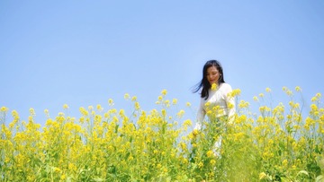 BF748D12-DB16-4218-A820-2FE684A78EDF/L0/001