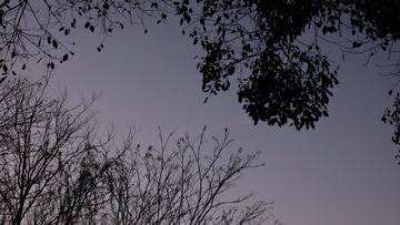 4F5FB388-A973-42F3-9127-FBBC2DFF450E/L0/001