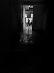 1000035309