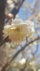 D3D72782-5CB7-40F0-8AC3-6E2DD38CD5B9/L0/001