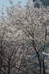 07765459-6F41-4026-8E48-004E53CF1AFB/L0/001