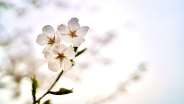 911D0D80-D905-4E1F-B166-1AC0FB616BBB/L0/001