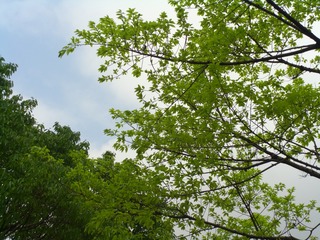252997C2-C9E0-4B78-A8C5-F18123329B1F/L0/001