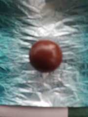 25061