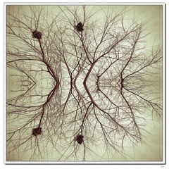 20100112_003