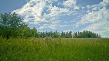 20100717_020_Elm Creek Park Reserve