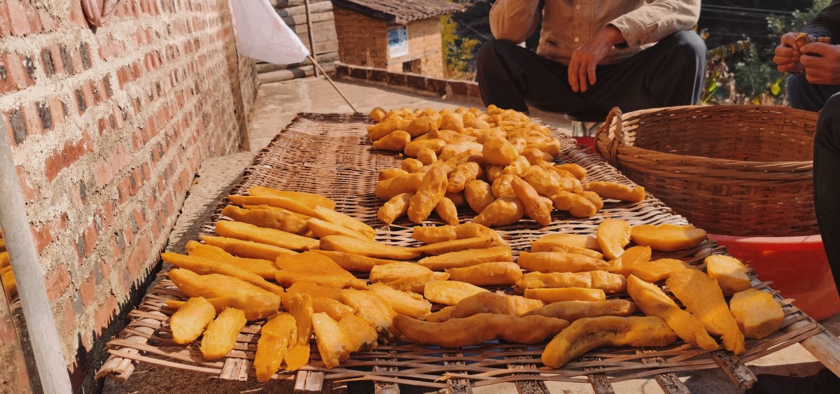 老一辈纯手工制作的番薯干,充满了回忆,广宁县远近闻名的特产