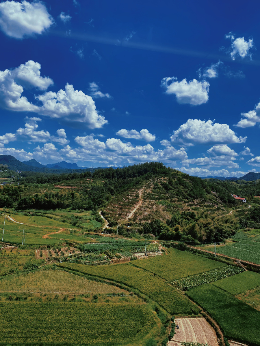乡间小路田园风光