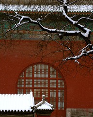 鼓楼雪韵（袁学进 摄影）