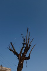 3429839F-C539-48B2-A95D-87352C779079/L0/001