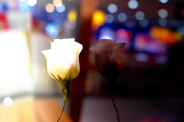 D696E587-D800-4F69-9CD7-8B5722BCD26E/L0/001