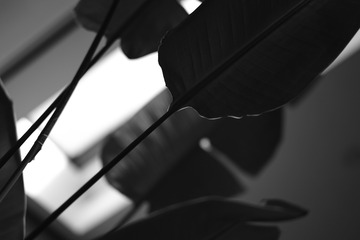 08A65455-363B-40A8-AD8F-19281670F7D1/L0/001