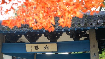 2A9CF54D-DAC5-4F0C-ABBC-1DA2AD5E91D3/L0/001