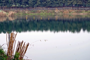 IMGP6517_副本