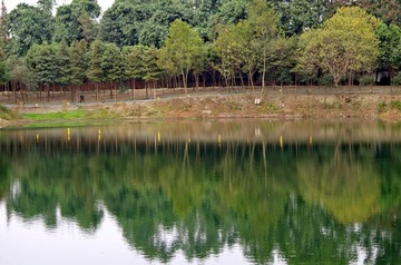 IMGP6519_副本