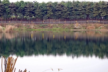 IMGP6516_副本
