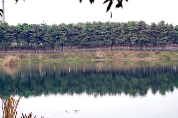 IMGP6515_副本