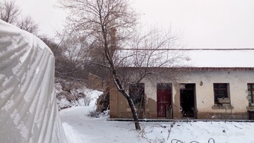 1861