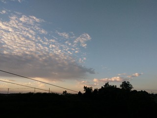 221001