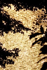 D24CD305-6B09-4280-BE57-D205D11BB1D0/L0/001