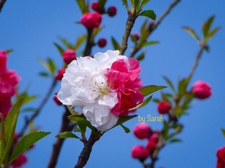 376CE881-F3ED-49A7-8380-68F776C1CF93/L0/001