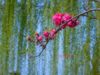 E1513699-6FE1-41D3-A677-25444A66EB94/L0/001