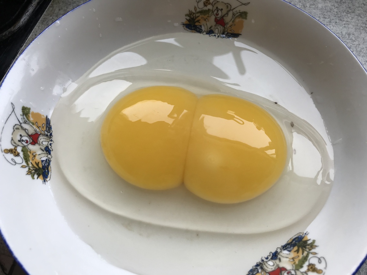 双黄鹅蛋有见过的吗